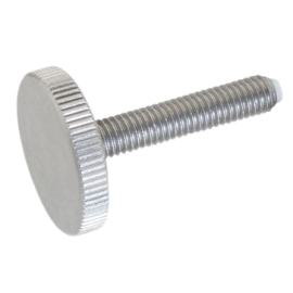 DIN 653 A2 SCREW STAINLESS